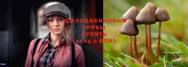 мдма Няндома