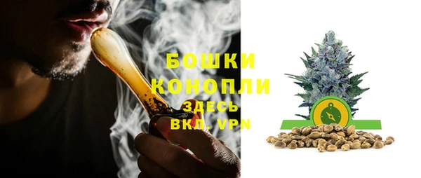 PSILOCYBIN Горнозаводск