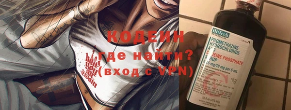 шишки Нязепетровск